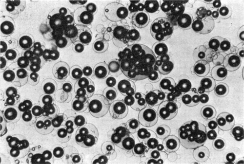 Figure 53. Artificial cells containing enzymes and Dowex-50W-12. (From Chang, 1966. Courtesy of the American Society for Artificial Internal Organs.)