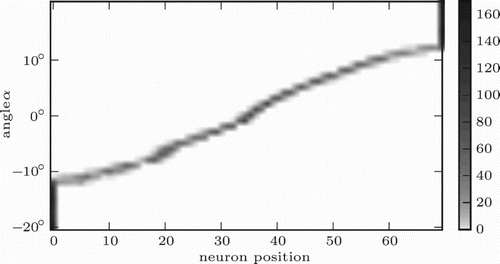 Figure 5. Spatial organisation of the network. Grey scale encodes number of times an angle α was mapped to a neuron o while determining the mapping of stimulus positions to neurons.