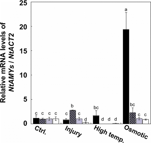 Figure 7 Changes in transcript levels of individual NtAMYs in leaves attached to tobacco (Nicotiana tabacum L.) whole plants under various stress conditions: NtAMY1 (closed bars), NtAMY2 (stripe bars), NtAMY3 (dot bars) and NtAMY4 (opened bars). Whole plants were kept in a temperature and humidity chamber in darkness at 25°C and 82% relative humidity (RH) for 24 h. Injury stress was applied by topping under the same conditions. High-temperature stress was applied at 42°C, whereas osmotic stress was applied by subjecting the plants to 20% (w/v) polyethylene glycol 6000 under the same conditions. Each transcript level was normalized to that of the β-actin gene (NtACT2), and shown as a relative value to control. Different letters designate statistically different values for each treatment [analysis of variance (ANOVA) with Tukey’s highly significant difference (HSD) test, P < 0.05]. Vertical bars, standard error (SE) (n = 6).