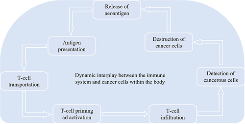 Figure 2 Anticancer Immunity: The immune system works against cancer cells’ neoantigens; after the release of neoantigen, antigen presents to T-cell and is followed by T-cell transportation, priming, and activation. After infiltration, T-cells detect cancer cells to destroy and release from the body.