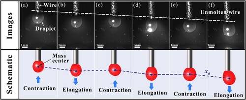 Figure 5. Phenomenon related to the additional displacement of the droplet. Six frames of droplet images and schematic diagrams were taken by the high-speed camera. The white dotted line indicates the junction line between the droplet and the wire. The dark blue dotted line connects the center of mass of the droplet, representing the displacement xd of the droplet. In addition to oscillatory displacement, the droplet is pushed an additional distance by the extra unmolten wire.