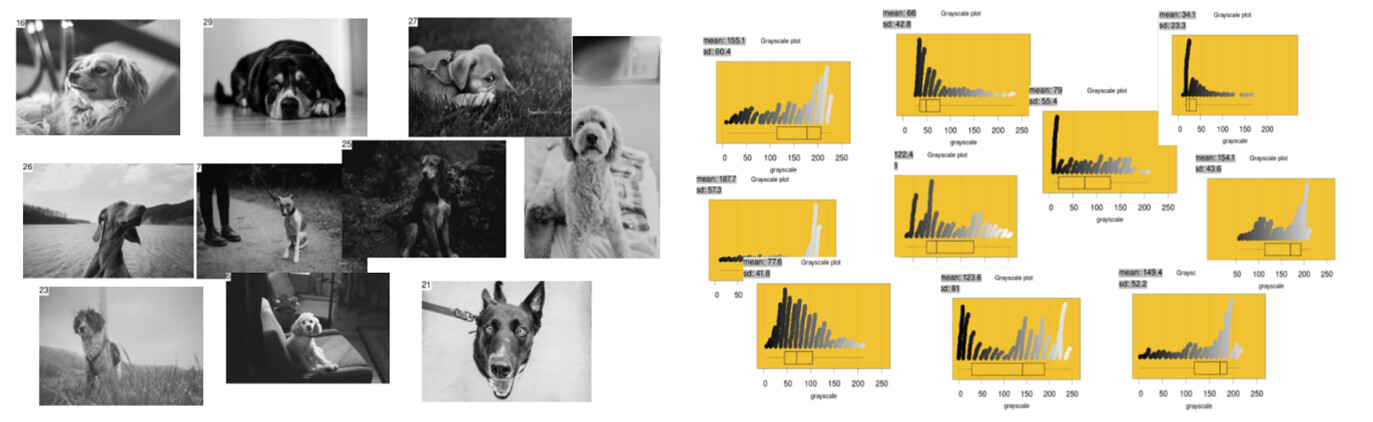 Figure 5. Ten different grayscale photos and ten different plots constructed using a random sample of 500 pixels