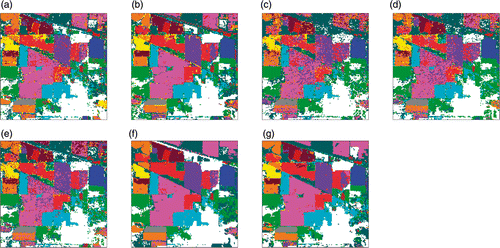 Figure 7. Classification maps of Indian Pines data with SVM classifier using EMAPs of (a) PCA, (b) KPCA, (c) DAFE, (d) DBFE and (e) NWFE, and feature reduction applied on EMAP using (f) NW-NW and (g) KP-NW.