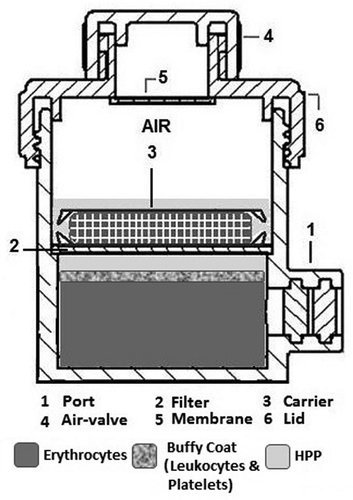 Figure 2. Schematic showing the bioreactor device for one-step harvesting and delivering protein factors present in hypoxia preconditioned plasma (HPP), through a cell-free matrix carrier. The device incorporates a nano-porous filter between the blood and carrier compartments, so that HPP sterilization and removal of cellular material occurs automatically during factor loading onto the matrix carrier. Note that since the plasma is passively separated from the blood cells, which sediment over time during conditioning, no centrifugation is required for HPP isolation (adapted from Hadjipanayi et al., 2013Citation27).