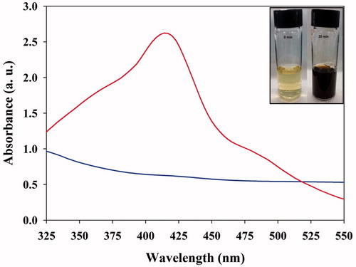 Figure 1. UV–Vis spectral analysis of Punica granatum leaf extract (PGE) and synthesized PGE-AgNPs after incubation at room temperature for 20 min (inset is the digital photographs of the corresponding AgNPs).