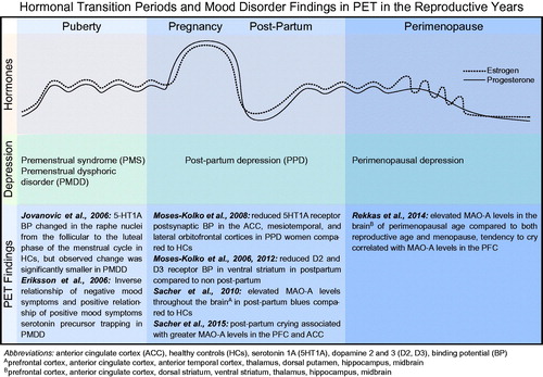 Figure 2. Hormonal transition periods and mood disorder findings in PET in the reproductive years. Hormones: oestrogen and progesterone rise during puberty and undergo subtle, cyclical variations during the menstrual cycle. Oestrogen and progesterone rapidly increase and maintain high levels during pregnancy, followed by a dramatic withdrawal following delivery in the post-partum period. Both hormones decrease during perimenopause, but oestrogen is markedly unpredictable and erratic in its fluctuations. Depression: depression associated with hormonal fluctuations during the pre-menstrual phase of the menstrual cycle, following delivery in the post-partum period, and in the transition into menopause. PET Findings: summary of PET imaging studies that focused on women suffering from hormone-mediated depression.
