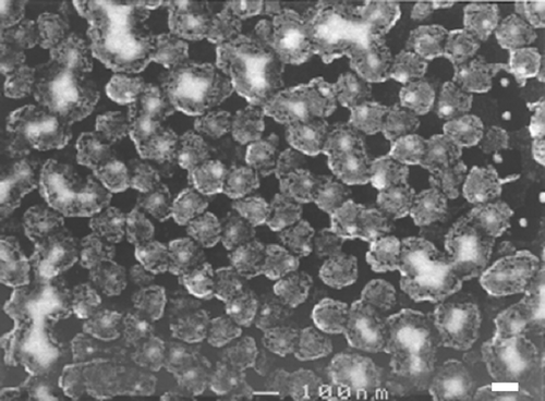 Figure 5. FESEM image of 20 layers of Cu2+ complexed mercapto-alkanoic molecular layers grown on a gold dot array: The sample was coated with 2 nm evaporated gold to enhance SEM contrast and to stabilize the organic structures that are otherwise sensitive to the electron beam. Nanospheres with diameters of 240 nm were used as a mask for this gold dot arrays. The scale bar indicates 100 nm.