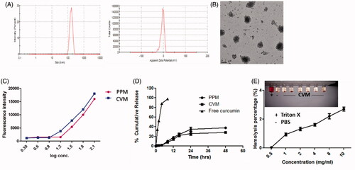 Figure 3. Characterization of micelles. (A) Particle size and zeta potential of CVM by DLS measurement. (B) Transmission electron microscopy of CVM. (C) Pyrene incorporation in CVM to assess critical micelles concentrations in reference to PPM. (D) In vitro release behaviour for free Cur and Cur-loaded PPM and CVM. (E) Hemolysis study for CV.