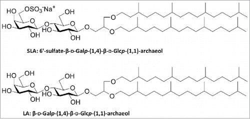 Figure 1. Chemical structure of sulfated S-lactosylarchaeol (SLA) and (lactosylarchaeol (LA).
