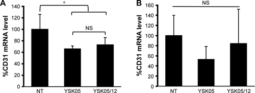 Figure S1 In vivo silencing activity of YSK05-LNP (pKa 6.50) and YSK05/12-LNP (pKa 7.15) in the lung and spleen.Notes: Mice were intravenously injected with the LNPs encapsulating a mixture of siRNA (siCD31:siFVII 1:1 ratio) at a dose of 0.1 mg/kg of each type of siRNA. After 24 hours, the level of CD31 mRNA in the lung (A) and spleen (B) was measured by means of qRT-PCR. The reference genes were TIE2 in the lung and GAPDH in the spleen. *P<0.05, nonrepeated ANOVA followed by an SNK test; data represent mean±SD (n=4).Abbreviations: FVII, coagulation factor VII; GAPDH, glyceraldehyde 3-phosphate dehydrogenase; LNP, lipid nanoparticle; mRNA, messenger RNA; NS, not significant; NT, non-treated; pKa, acid dissociation constant; qRT-PCR, quantitative real-time polymerase chain reaction; TIE2, angiopoietin receptor.