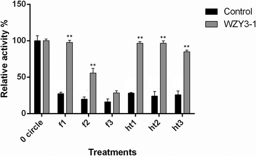 Figure 2. Protection of WZY3-1 protein on LDH activity under freezing and heat treatment. The of LDH activities were measured under freezing (f1, f2, f3) and heat (ht1, ht2, ht3) treatment with three cycles. Asterisks indicate statistically significant differences (*P < .05, **P < .01; Student’s t-test).