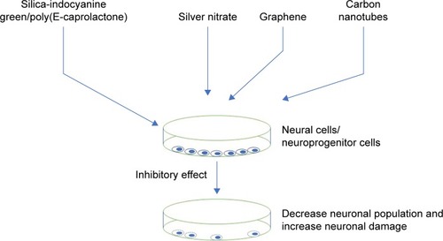 Figure 3 Inhibitory effect of nanoparticles on neuronal cells tested in an in vitro condition.