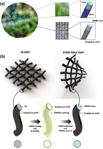 Figure 8. (a) Design of the spider-web-inspired elastomer-filled graphene woven fabric. (b) Schematic representation of the fabrication procedure of elastomer-filled graphene woven fabric [Citation129]. Reprinted with permission. Copyright © 2019, American Chemical Society.