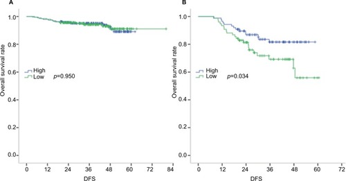 Figure 2 DFS of patients with stage I + II (A) and stage III (B) colon cancer, stratified by SMI.Abbreviations: DFS, disease-free survival; SMI, skeletal muscle index.