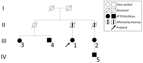 Figure 2. Family pedigree. Relationship of the affected individuals in the Swedish Glu54Leu ATTR family. Arabic numerals refer to the case numbers in the text while the roman numerals refer to the level of generation.