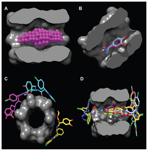 Figure 2 Binding site in the α-CD dimer cavity (A) is detected with the PocketAnalyzerPCA (Novartis Institutes for Biomedical Research, Horsham, UK). (B) Shows the docking of the DA and L-DOPA molecules and the mode of hydrophobic moiety (2,3-dihydroxyphenyl) interaction with the α-CD dimer. Out-channel docking poses are exposed outside the α-CD binding site (C), while in-channel binding modes (D) are docked inside the cavity, highlighting the phenomenon of chiral docking. The molecular surface is divided by the frontal plane to visualize a binding channel of the host. Hydrogen atoms are omitted for clarity.Abbreviations: α-CD, α-cyclodextrin; DA, dopamine; L-DOPA, levodopa.