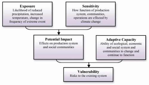 Figure 7. Key components of vulnerability, illustrating the relationship among exposure, sensitivity, and adaptive capacity (Tao et al., Citation2011)