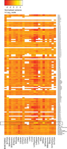 Figure 1. Heatmap representation of gene expression variances and immune cell type activity variances, in log10, for the different datasets. For each gene, in each dataset, gene variance was normalized by the variance all gene expressions pooled together. For each immune cell type activities, in each dataset, immune cell type activity variance is normalized by the variance all immune cell type activities pooled together. Housekeeping genes are highlighted.