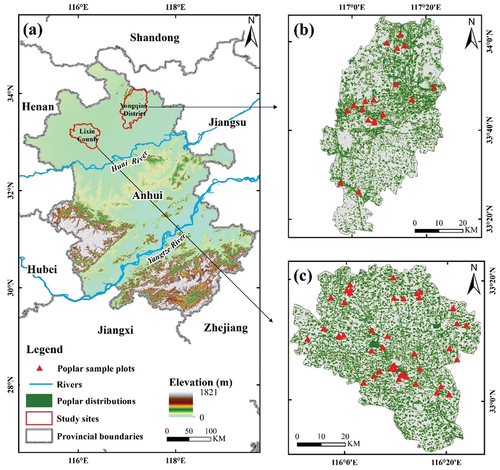 Figure 2. The study areas Lixin County and Yongqiao District in Anhui Province, China: (a) shows topography of Anhui Province by digital elevation model (DEM), (b) and (c) show spatial distributions of poplar species with sample plots in Yongqiao and Lixin, respectively.