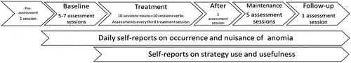 Figure 1. Overview of the study procedure.