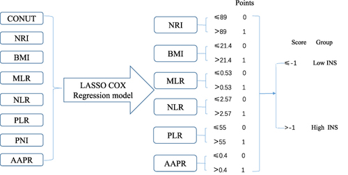 Figure 1 The process diagram of INS construction and risk stratification.