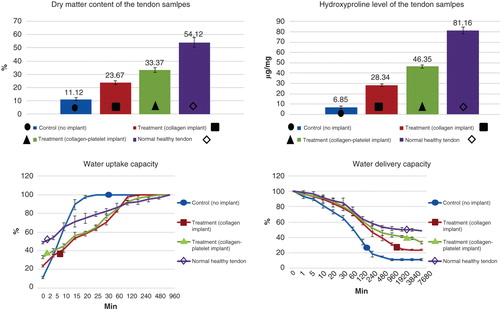 Figure 9. Sixty days after tendon injury, bovine xenogenous-based platelets embedded within the CI significantly improved the dry matter and hydroxyproline content when compared with the controls (those treated with no implant and CI). At this stage, those treated with collagen-platelet scaffold showed more similar pattern of water uptake and delivery to normal tendons compared to the controls (no implant and CI alone).