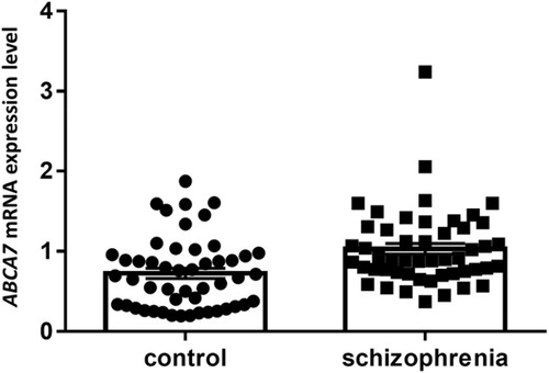 Figure 1 The ABCA7 mRNA expression levels of 50 schizophrenia patients and 50 control subjects.