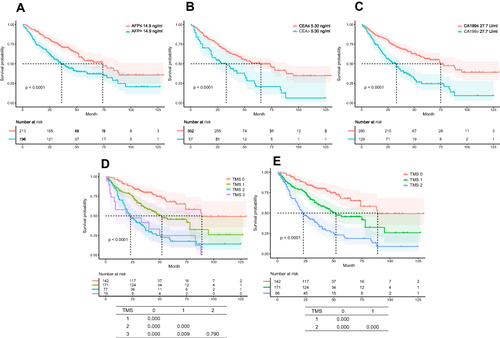 Figure 2 K–M curves of recurrence-free survival after surgery for single small HCC. K–M curves showing RFS of patients grouped by optimal cutoff values of AFP (A), CEA (B), CA19-9 (C) and TMS (D and E (TMS2 and TMS3 were collectively called TMS2 in (E)).