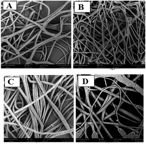 Figure 3. Processed PLA fibres (a) 0.13 g/ml, 90° (b) 0.14 g/ml, 90° (c) 0.12g/ml, 45° (d) 0.12 g/ml, 30°. N/B: Sample designation represents solution concentration, spinneret angle.