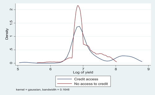 Figure 2. Kernel density of the logarithm of yield according to access to credit. (Source: Author based on estimating results).