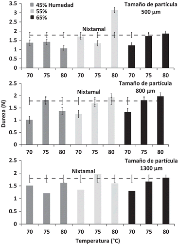 Figura 2. Fuerza de dureza en la masa (N).Figure 2. Hardness of the corn masa (N).