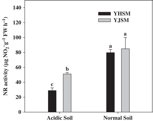 Figure 5 NR activities in the leaves of two rice cultivars under different growing soil conditions. Acidic soil and normal soil indicate that the samples were collected from rice grown in acidic soil and normal soil, respectively. The bars indicate the standard error of the mean. The mean values for each treatment with different lowercase letters indicate significant differences by the LSD-test (p < 0.05 n = 4).