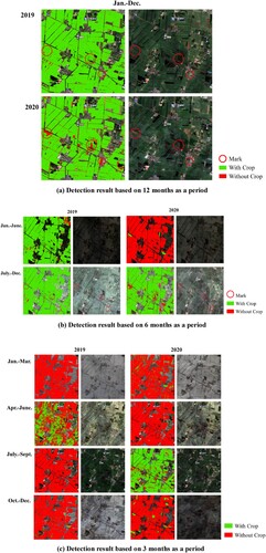 Figure 10. Changes in the detection results of abandoned cropland.