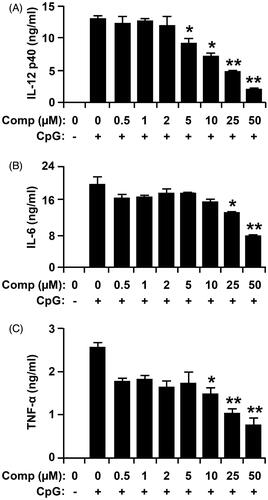 Figure 3. Inhibitory effects of comp on pro-inflammatory cytokine production in CpG DNA-stimulated bone marrow-derived dendritic cells (BMDCs). BMDCs were treated with comp at the indicated doses for 1 h before stimulation with CpG DNA (1 μM). Enzyme-linked immunosorbent assay (ELISA) was used to measure the concentrations of murine IL-12 p40 (A), IL-6 (B) and TNF-α (C) in the culture supernatants. Data are representative of three independent experiments. Comp, 3-hydroxy-4,7-megastigmadien-9-one. *p < 0.05, **p < 0.01 vs. comp-untreated cells in the presence of CpG DNA.