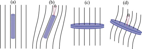 Figure 6. Objects in a liquid crystal. The lines are tangential to the director field. (a) A thin wire in equilibrium. (b) A thin wire under external torque that twists it away from equilibrium. (c) Thin disk in equilibrium. (d) Thin disc under external torque that twists it away from equilibrium. In (b) and (d) the object experiences a counter-torque from the nematic field in the direction to decrease θ.