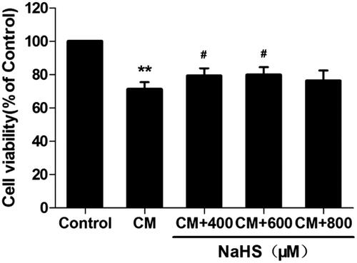Figure 8. NaHS protects against CM-induced NRK-52E cell death. NRK-52E cells with CM showed significant cell death, presenting as decrease of cell viability. 400 and 600 μM NaHS pretreatment for 0.5 h could reverse the CM-induced cell death. Cell viability was assessed by CCK-8 analysis. Data are presented as mean ± SD (n = 3). **p < 0.01 versus control group. #p < 0.05 versus CM group.
