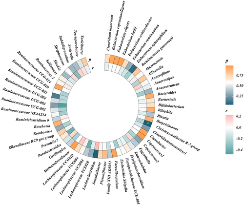 Figure 3. Circular heat map of suggestive genetic correlation between gut microbes and frailty.