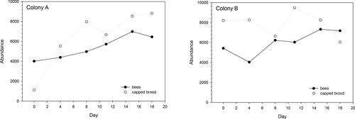 Figure 2. Overview of the number of bees and capped brood cells per colony over time.