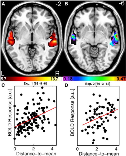 Figure 2. Norm-based coding of speaker identity in the Temporal Voice Areas. (A) TVA showing significantly greater fMRI signal in response to vocal versus nonvocal sounds at the group-level used as a mask for further analysis. Colour scale indicates T values of the vocal versus nonvocal contrast. (B) Maps of Spearman correlation between beta estimates of BOLD signal in response to each voice stimulus and its distance-to-mean overlay on the TVA map (black). Colour scale indicates significant r values (p < .05 corrected for multiple comparisons). Note a bilateral distribution with a maximum along the right anterior STS. (C) Scatterplots and regression lines between estimates of BOLD signal and distance-to-mean at the peak voxel for “had” syllables. (D) Scatterplots and regression lines between estimates of BOLD signal and distance-to-mean at the peak voxel observed for “hellos”. Reproduced (permission pending) from Latinus et al. (Citation2013).