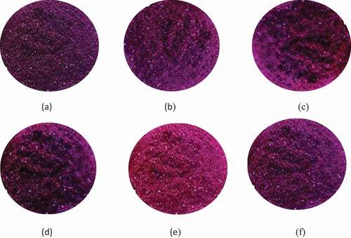 Figure 5. Appearance of dried S. caryophyllatum fruit pulp (a) 40°C oven drying (b) 60°C oven drying (c) freeze drying (d) vacuum drying (e) sun drying (f) dehumidified air drying