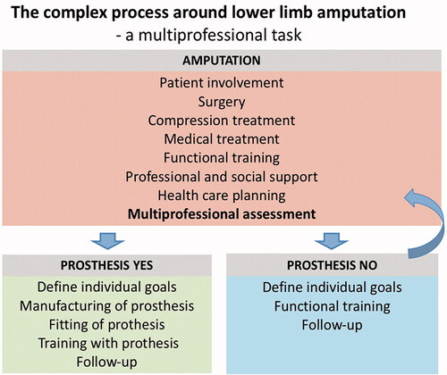 Figure 1. The complex process around lower limb amputation.
