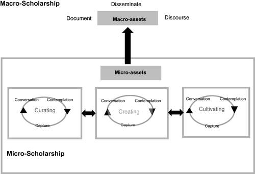 Figure 1. A conceptual model of scholarship, Micro-Scholarship and Macro-Scholarship.