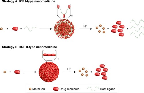 Figure 7 Formation of ICP I-type nanomedicine and ICP II-type nanomedicine and their pH-responsive release.Abbreviation: ICP, infinite coordination polymer.