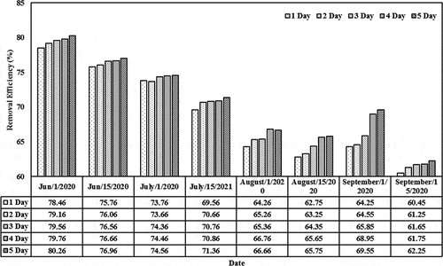 Figure 6. Removal efficiencies of cephalexin with a constant initial concentration of 0.1 mg/L in the CW