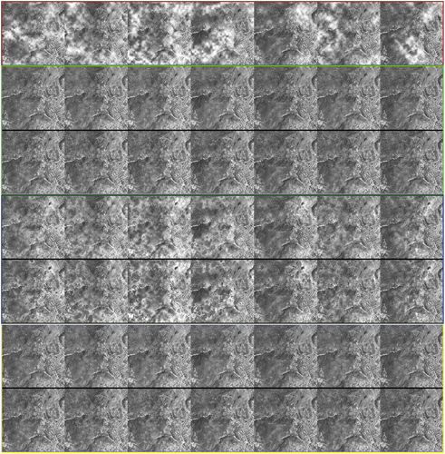 Figure 5. Recovered images. Top row: simulated images with cloud cover; 2nd-3rd row (in green box): aATM results with/without MC; 4th-5th row (in blue box): ATM results with/without MC; 6th-7th row (in yellow box): RPCA results with/without MC.