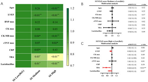 Figure 1. Multivariate logistic regression analysis of serum TBA and Lactobacillus on coronary lesions severity. (A) Heat map to show or and p value for the risk of a high SYNTAX score (the green and yellow blocks represent negative and positive correlations, respectively); (B) multivariate logistic regression model adjusted for age, left ventricular ejection fraction (LVEF), CK max, CK-MB max, cTNT max, C-reactive protein (CRP), serum total bile acids (TBA) and Lactobacillus between SYNTAX score medium group and low group (Ref.); (c) multivariate logistic regression model adjusted for age, left ventricular ejection fraction (LVEF), CK max, CK-MB max, cTNT max, C-reactive protein (CRP), scrum total bile acids (TBA) and Lactobacillus between SYNTAX score high group and low group (Ref.); *p value < .05; **p value < .01.