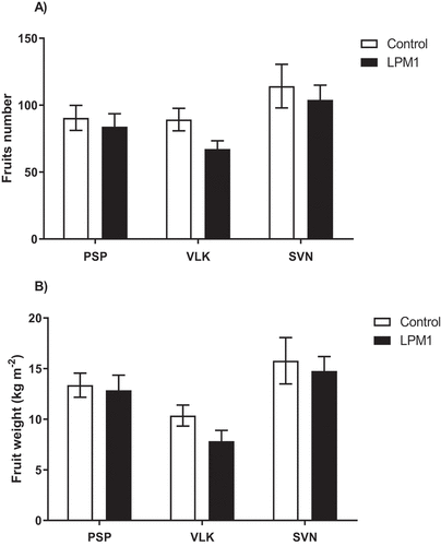 Figure 10. Yields of bell pepper varieties grown under shade house conditions. (PSP) Prosperity, (VLK) Valkiria, and (SVN) Sven with Bacillus subtilis LPM1 inoculation (black bars) and uninoculated control (white bars).