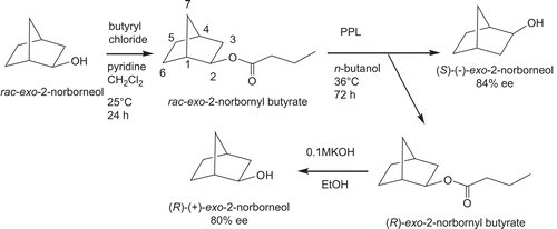Scheme 1.  Kinetic resolution of (R)-(+)- and (S)-(–)-exo-2-norborneols from lipase-catalyzed hydrolysis of racemic (±)-exo-2-norbornyl butyrate.