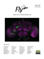 Cover image for Fly, Volume 6, Issue 1, 2012