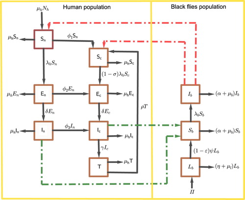 Figure 1. Schematic presentation of the transmission dynamics of Onchocerciasis.